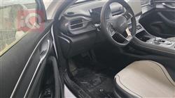 بي واي دي ديستروير 05